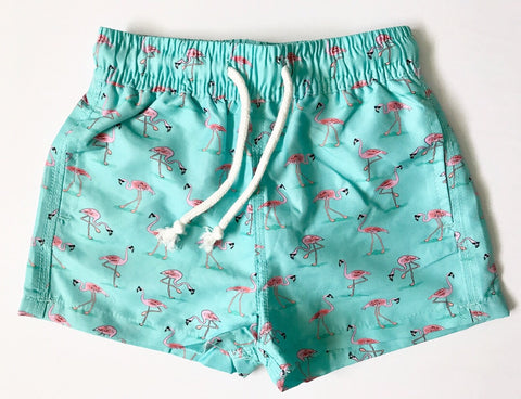 Flamingo Swim Short